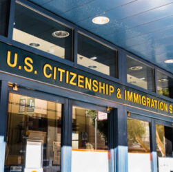 USA immigration blog 2024