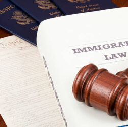 Immigration law firm reviews 2024
